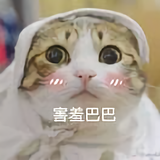 过客76234头像