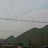 正南头像