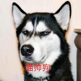 葉箬头像