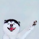 1154203 · 昂科威车主·车龄2年头像