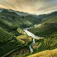 我爱我中华人民共和国头像