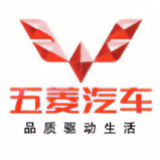 五菱汽车亚洲区域专业四轮定位工头像