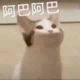 吴南头像