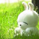 呵呵_我去洗澡了_头像