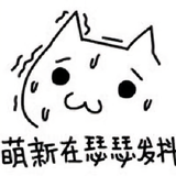 太阳很芃芃头像