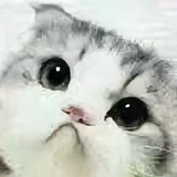 爱剪辑的小帅帅头像