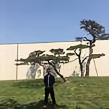 5线城市人头像
