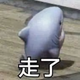 EthanWang282头像