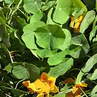 英雄不爱江山头像