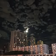 机智的西柚nhm头像