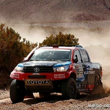 红星or牛栏山头像