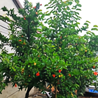 换个名就换个名头像