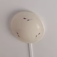 小小故事情节头像