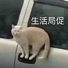 阿猫影视剪辑头像