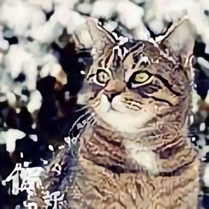 猫叔看天下头像