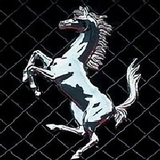 汽车生活圈头像