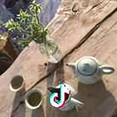 风中的蝎子头像
