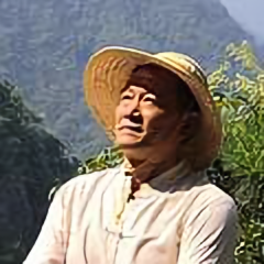老羊信天游头像