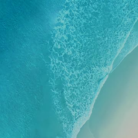 大美江苏盐城头像