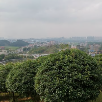 邵东刘少头像