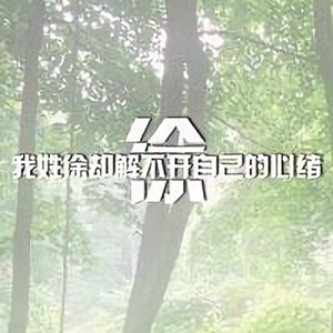 没吃饱才头像