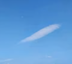 九九天影视头像