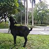 用户5397980738829头像