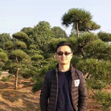 湖南苗木人头像