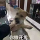 Sq陈冠希 · 科鲁泽车主·车龄5年头像