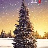 好难瘦484头像