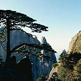 song179162449头像
