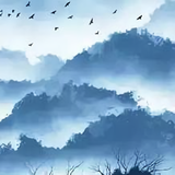 永远的鑫头像