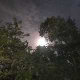 小xiao6儿头像