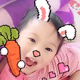 zhaoshouqi1头像