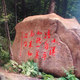 1782674头像