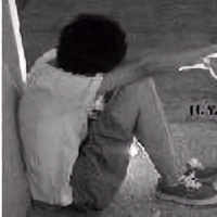 用户6992809973701头像