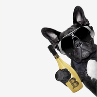 狗司令爆炸头头像