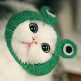 妮妮你你你love头像