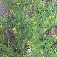 向前看157174594头像