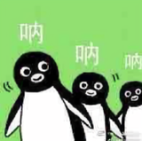 hdj1111头像
