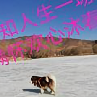 尘埃148440481头像