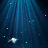 欢快海浪4sA头像