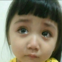 温暖的蛋炒饭头像