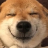 用户6610527586518头像