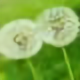 雨后黄昏5088头像