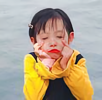 顺心小狐狸头像