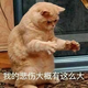Prince Charming · 元PLUS车主·车龄2年头像