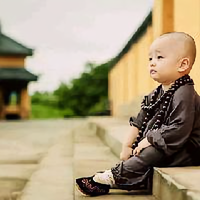 发呆的小象头像