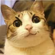 李汉兴JG头像