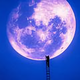 三月樱花11头像
